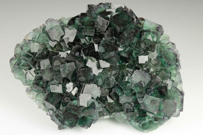 Green Cubic Fluorite Cluster With Purple Edges - Okorusu Mine #191986